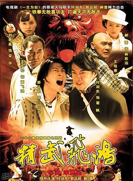 精武飞鸿第10集