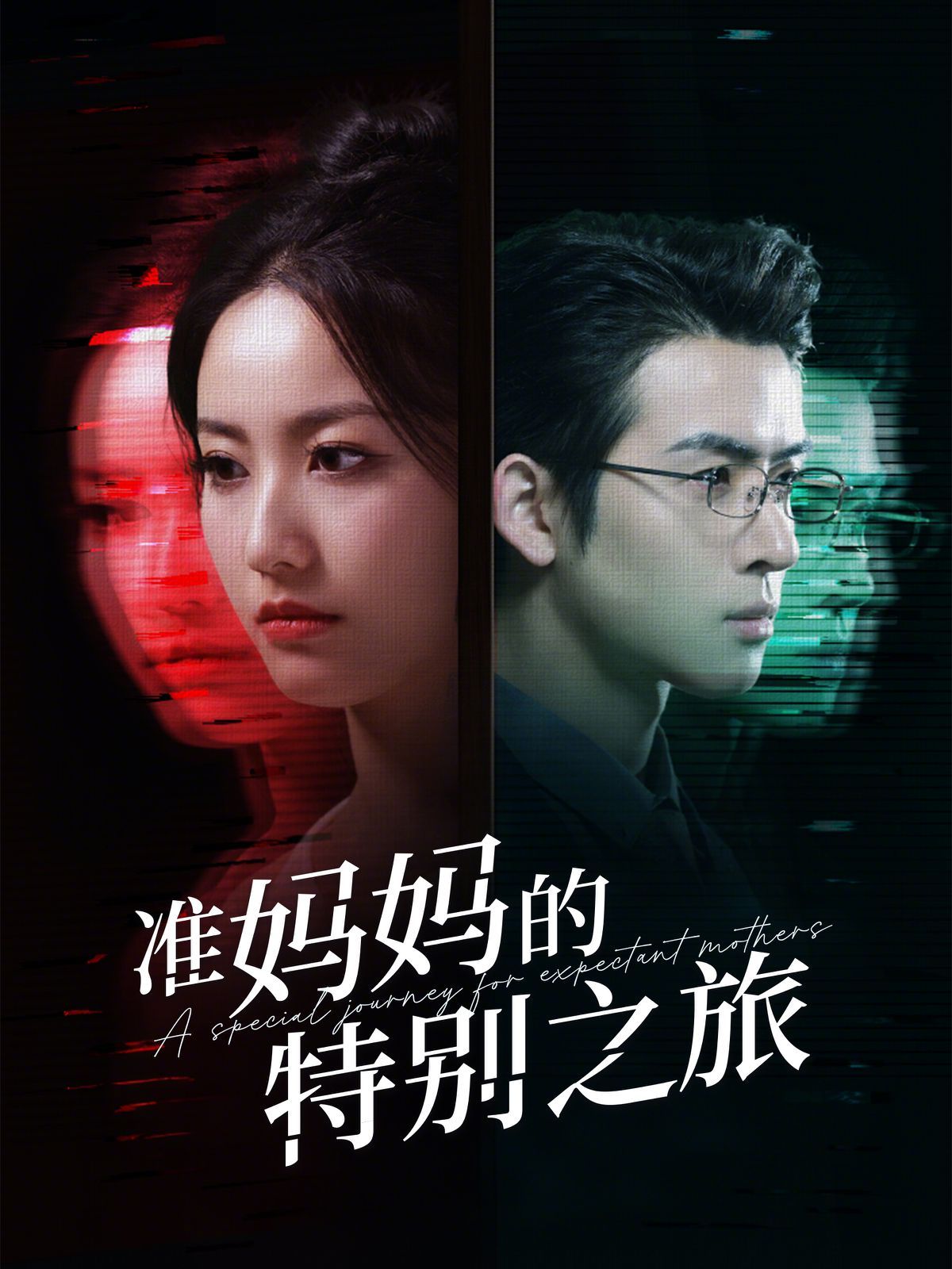 准妈妈的特别之旅第1-20集