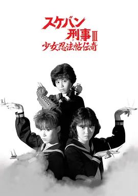 飞女刑事3少女忍法帖传奇(全集)